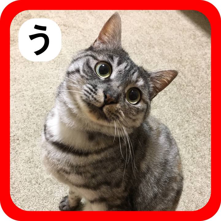 Fd4dffd5 6387 425b 9506 94d09532ec14 1514818103507