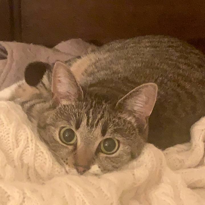 Fd4e12b3 2a42 43c8 98fb 0866473c7a57 1573243402219