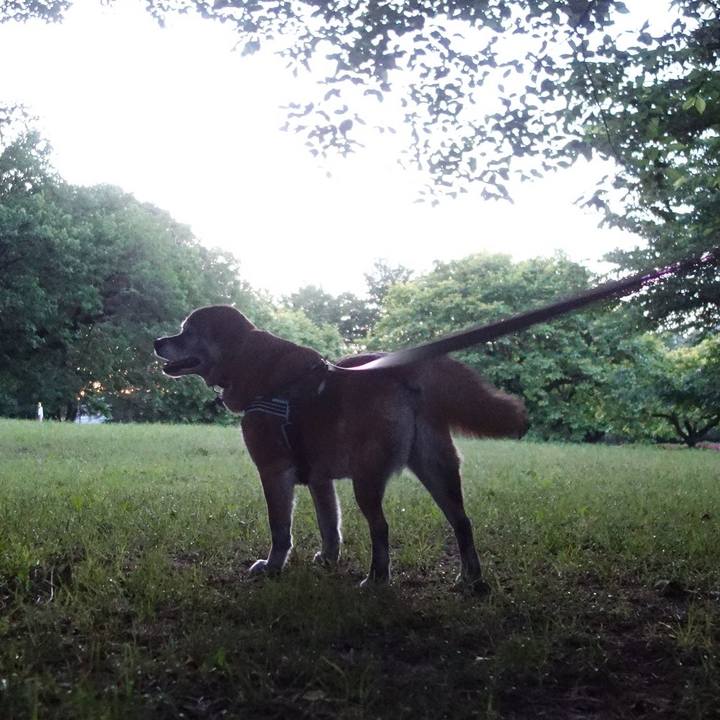 Fd4e2948 01a7 4e49 8365 310a83c31bf9 1526988063094