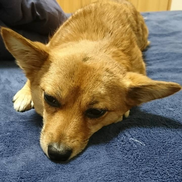 Fd4e2ea0 e07e 4249 b2ac 65d6492275d9 1518825687442