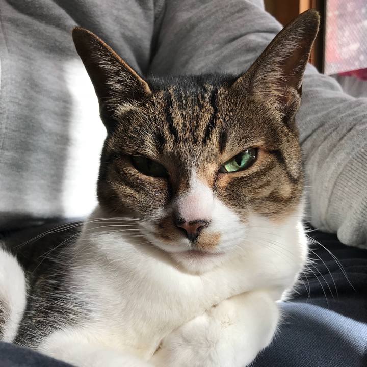 Fd4e9092 29ec 44bf b81f 6f251dee50f1 1516930617864