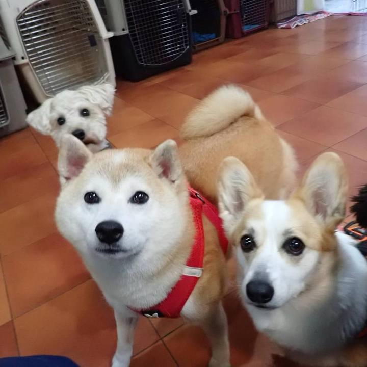 Fd4e92e7 6073 406c b31d 8847bf8ac4df 1730415731486