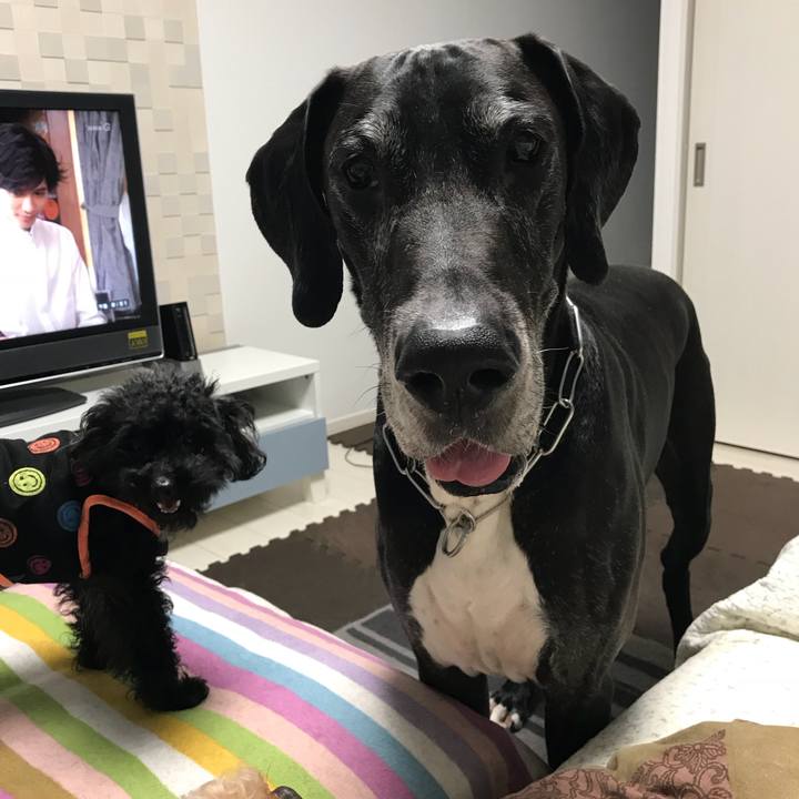 Fd4eacce 4a37 49b9 9bd8 b132b6f70660 1530100387071