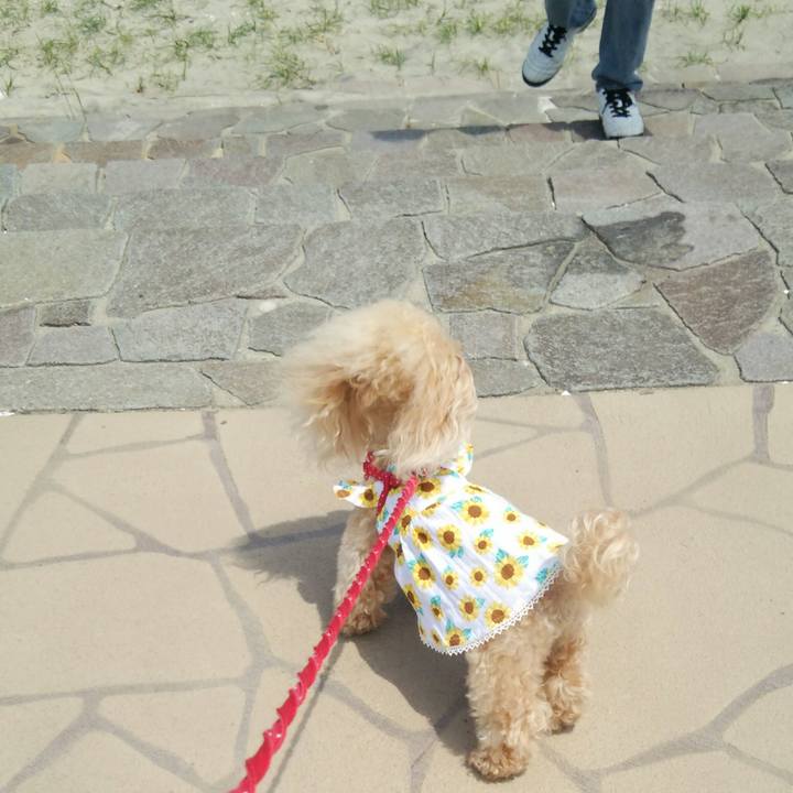 Fd4ed126 3cfd 4cec a4ee 1728536d8fd0 1558874179777