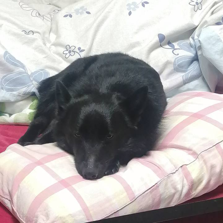 Fd4ee4fd 1533 4384 b3f1 37f99576ab61 1648071065368