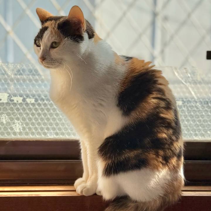 Fd4ef2f3 aacc 4b16 a711 86dffe52c731 1733365123358