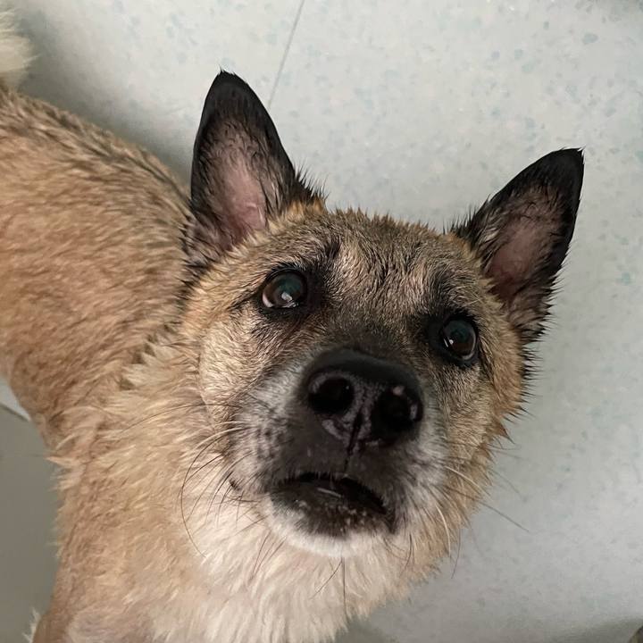 Fd4ef5c6 3f45 4b09 8232 937ecff080fc 1727001684108