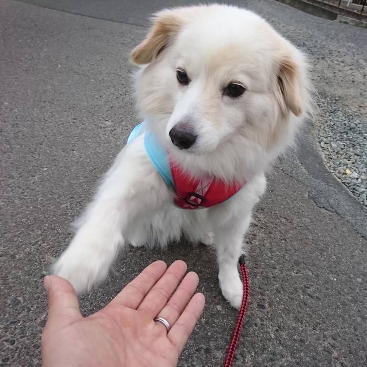 Fd4efe50 b3b6 46fc 93b8 055c9a4e2dd9 1521496126199