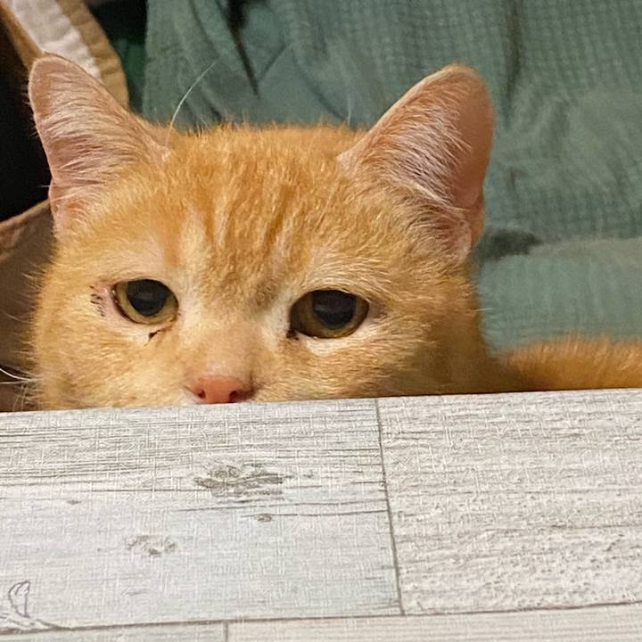 Fd4f1d2f a297 4139 aebc c41777efc0bd 1617974038163