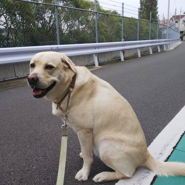 Fd4f777a 02a1 4d56 ae9d 16b8781b81f6 1570757928940