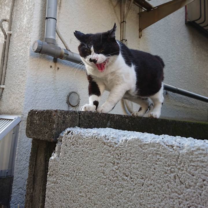 Fd4f8374 15a4 488c 8b27 c0d4b454ee5b 1658047539294