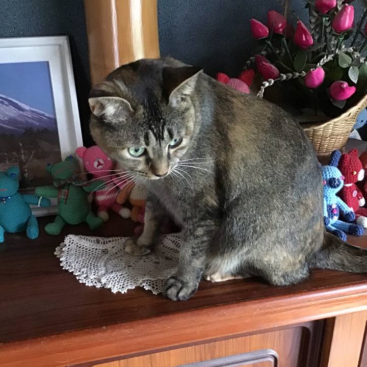 Fd4fa7cb 21df 4d42 828d 02c8b1487208 1629624207873