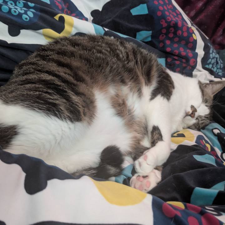 Fd4ff219 39d5 407e bc1d 808f21891bb0 1739248476922