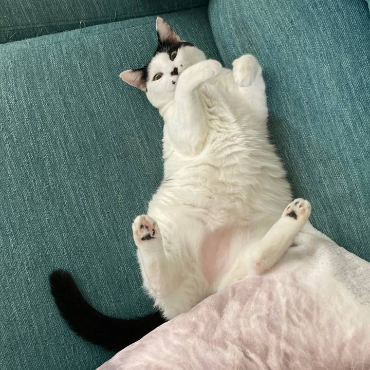 Fd500c18 8fd6 495f 9646 1be9e77e33a3 1759792688508