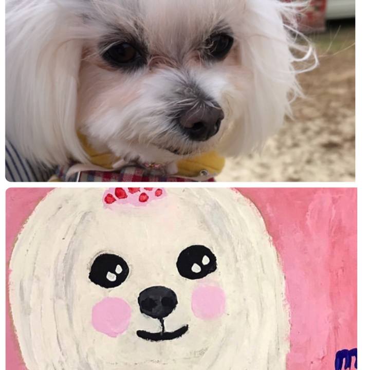 Fd5035f1 d416 4fba 9816 59cb10a85f28 1634618822347