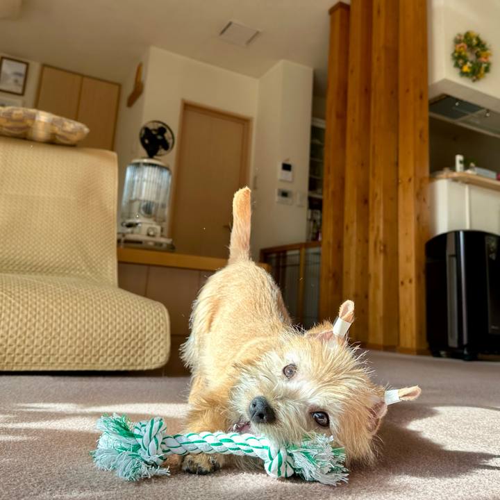 Fd50383d 8005 4129 a069 579414b217cf 1704874624577