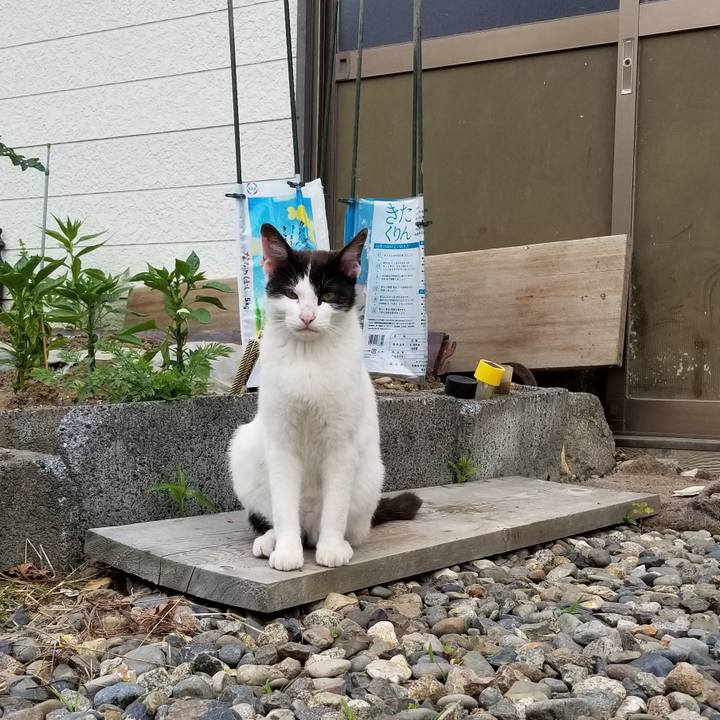 Fd50581e b58c 4d77 b63c 680dde8d1930 1561079503020