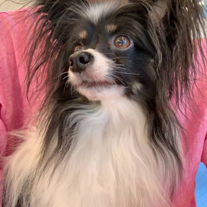 Fd5063f5 14d8 4438 9dcb 25116edb5c71 1566694138359