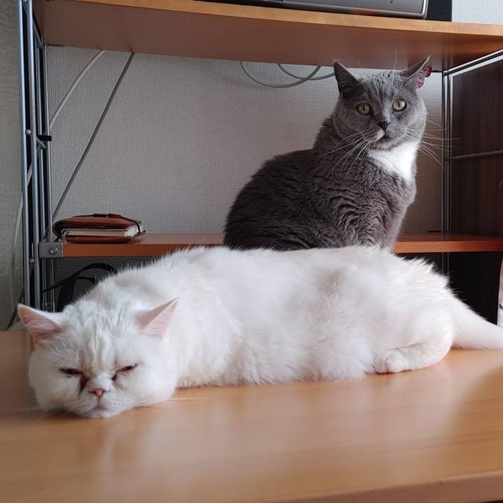 Fd5085e1 06f7 4ffe bcf5 c84c5da9b09e 1649560965070