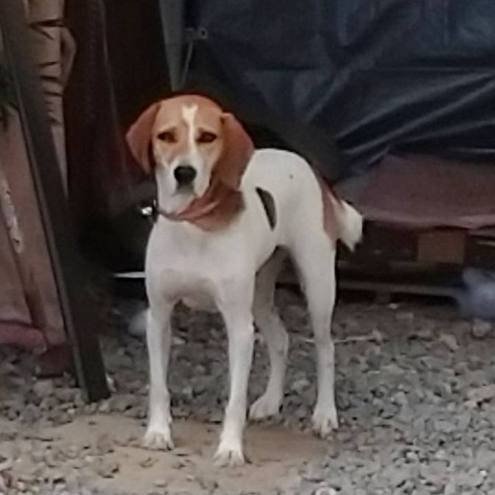 Fd50f1cf 247e 46f3 8004 ae5c52f72458 1597224032361