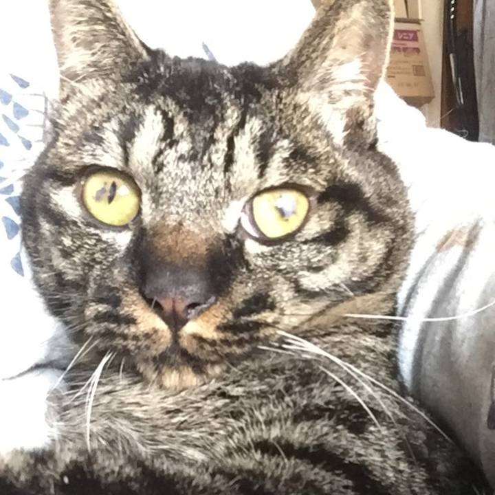 Fd50f51f 9204 4b3e 94ca 1ed8217ea1c6 1588831959053