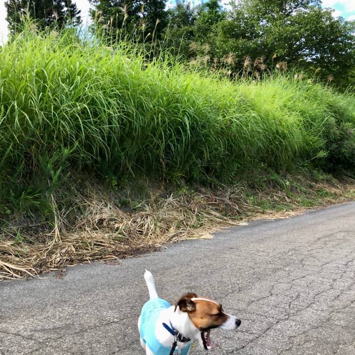 Fd511449 32a5 488e 9ddc 8d7a48729e9e 1597052749402