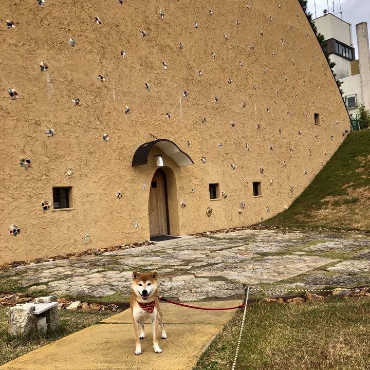 Fd512f39 61ea 413f 87e5 7ae21058f770 1542096192020