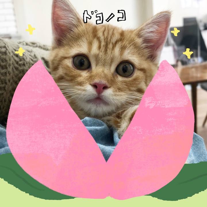 Fd51355c 6d25 430c a983 cb6cd3e578da 1771889068770