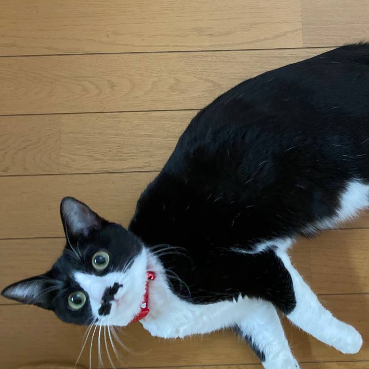 Fd5156f1 66fd 4abc 8654 8e366b2b2f6e 1742542418624