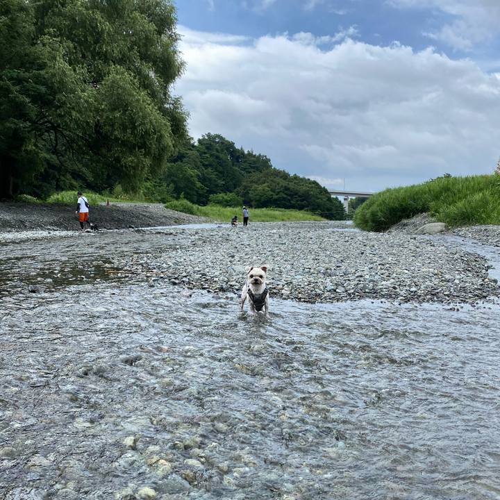 Fd51936a b595 4c99 b4e4 34ffbb35fd9e 1721026719960