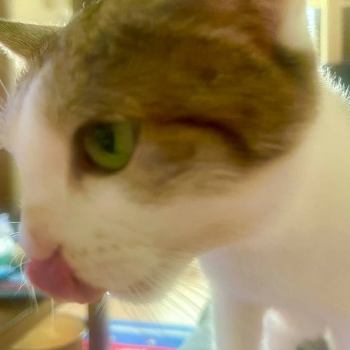 Fd519501 fa11 41c3 ae1b 4266b47c93d2 1632277845708