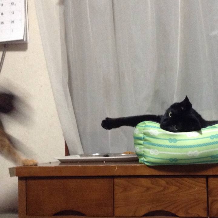 Fd51e056 2875 41e8 8cee 1737ef495ac1 1526651934675