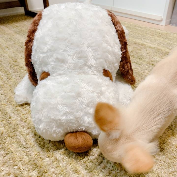 Fd51e06f 81f0 4120 b540 af3a8ec432b8 1595480637799