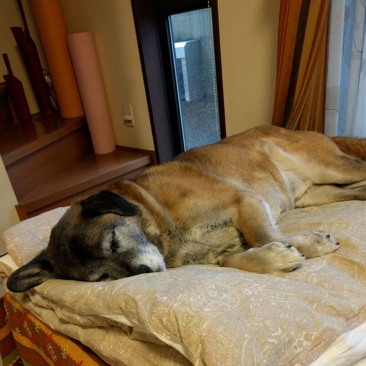 Fd51e206 865c 40b5 af03 fe584b8a9e08 1521532010931