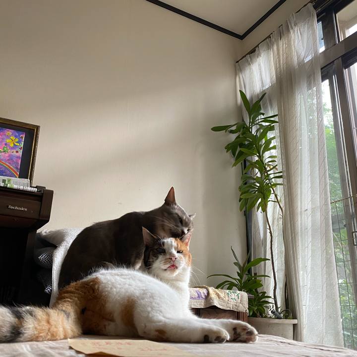 Fd51f6b8 688a 4352 bc02 36f775474568 1601085754946