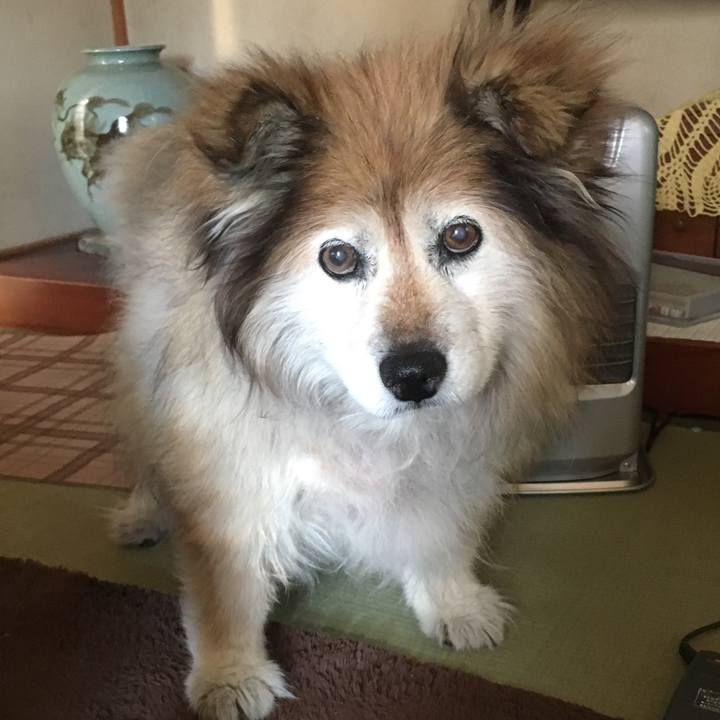 Fd51f7d6 1d10 4091 9419 7db43797f486 1548036656623