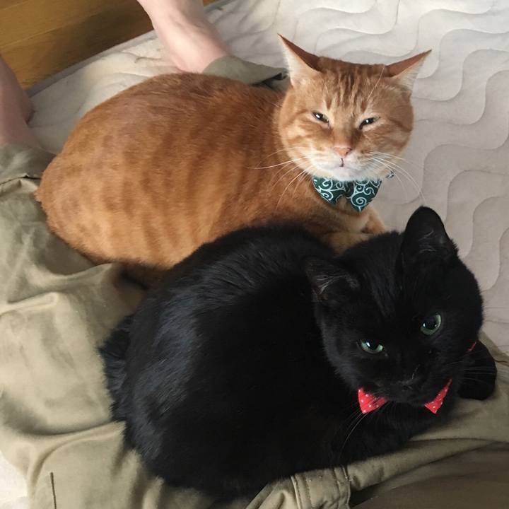 Fd521f40 175a 4502 8445 0546e8c1ee84 1546988205564