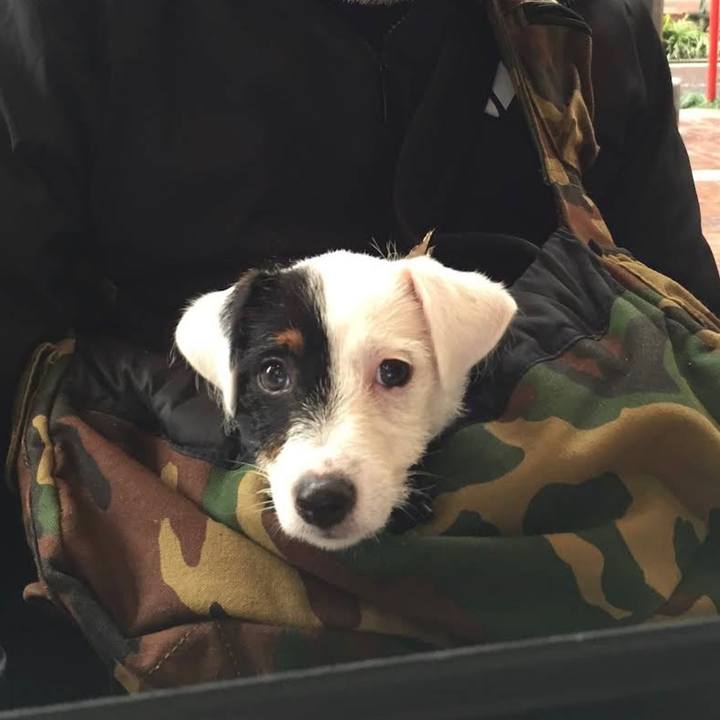 Fd524606 96b3 4378 9ca4 a48759b090fb 1675860648663