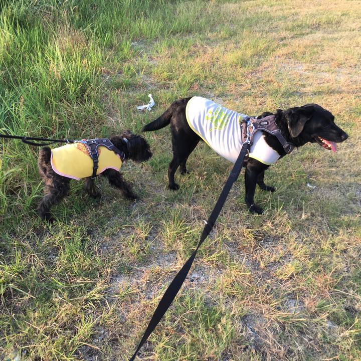 Fd524d64 b8b8 4484 bbf7 03965568f7bf 1533964041828