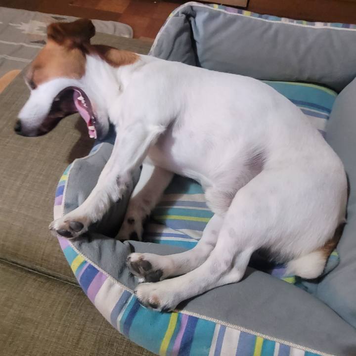 Fd52a781 ba66 481f b660 229167f48e58 1686557720478