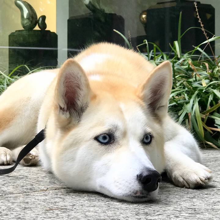 Fd52df4b d8fa 4098 b5cd 2e3bc1a55e3d 1528165638163