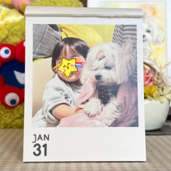 Fd52f99c 9e36 4f2f a3b7 b6e93f370983 1769825334875