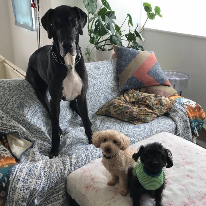 Fd531286 35dc 41a6 985e a0b3744ae291 1525992986880