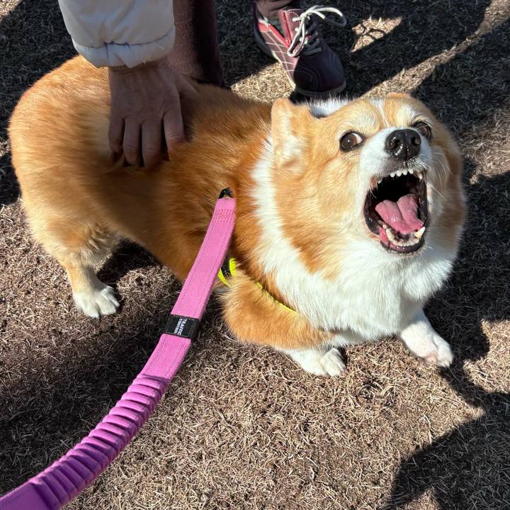 Fd5329a1 f623 4504 8f81 2442e898d45d 1739503235828