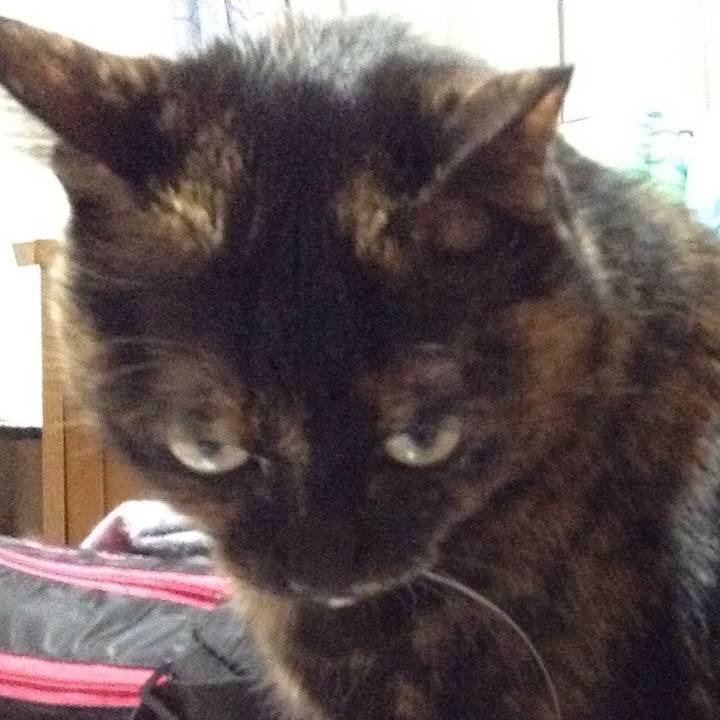 Fd532f0e 7ce3 4a53 8e68 872577d195fd 1521458095295