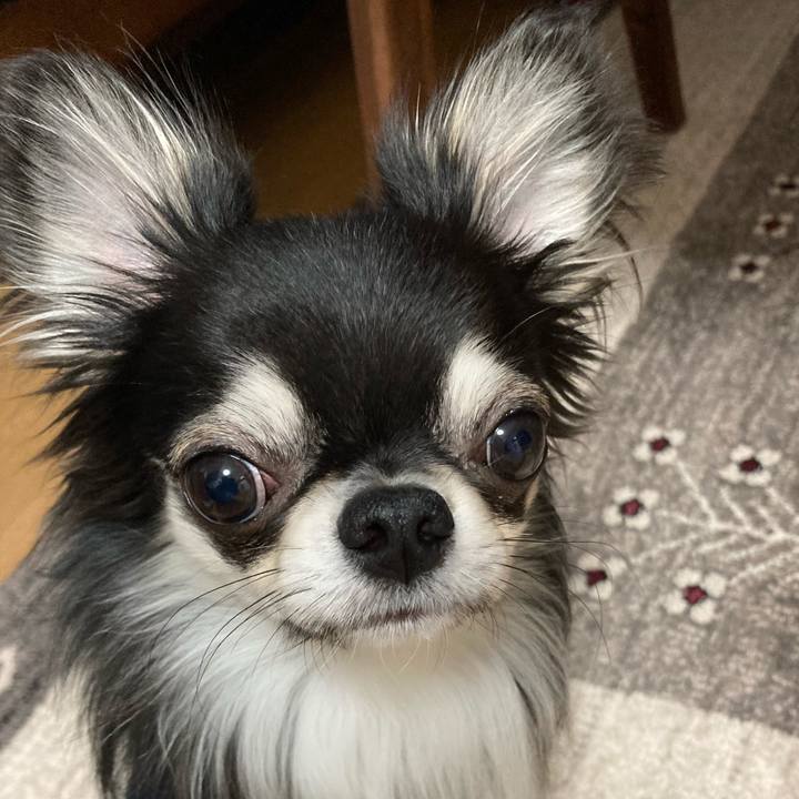 Fd53856b 0a60 4eb8 92ce 6cfedcc8c8b6 1615586752324