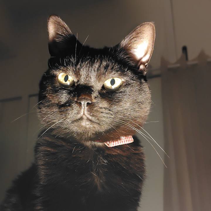 Fd538c4d be68 44d6 811b 15eb7f66df2d 1770366929786