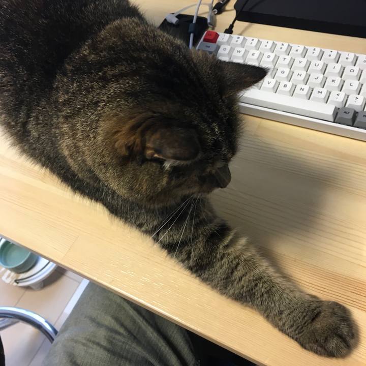 Fd539d60 c39c 41b5 8ba2 d07397ccdc5f 1620703577843