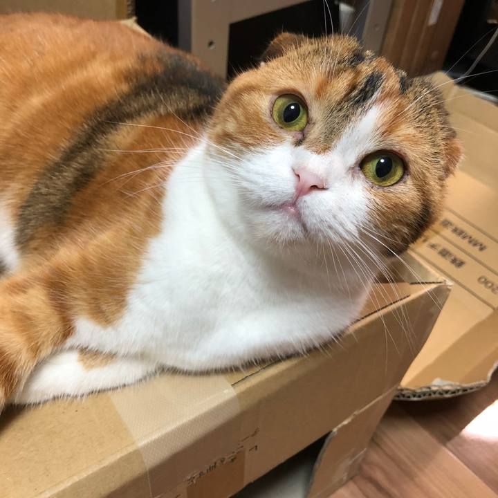 Fd53a406 51ce 4095 9d60 e85302f3fe89 1529148307763