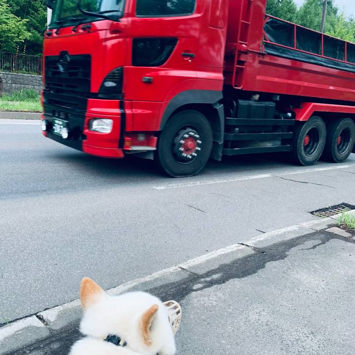 Fd53a6d6 0edd 44f4 bdd3 627274cdbd89 1624568854664